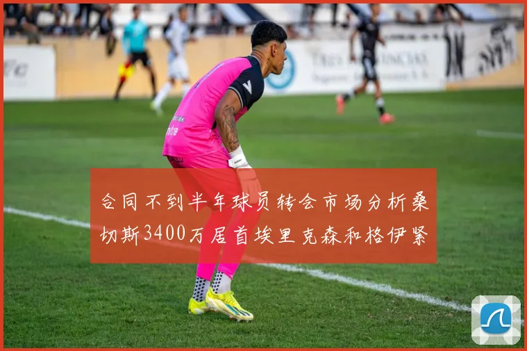 合同不到半年球员转会市场分析桑切斯3400万居首埃里克森和格伊紧随其后