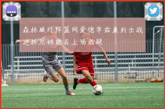 森林狼对阵篮网爱德华兹康利出战迪林厄姆能否上场成疑