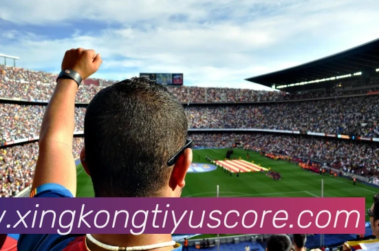 星空体育平台生态图