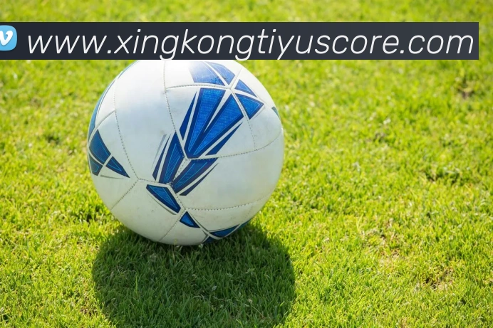 星空体育APP 封面图