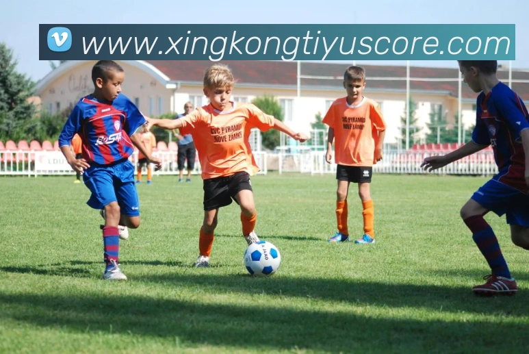 数据防护可视化